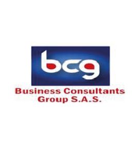 BCG Business Consultants Group